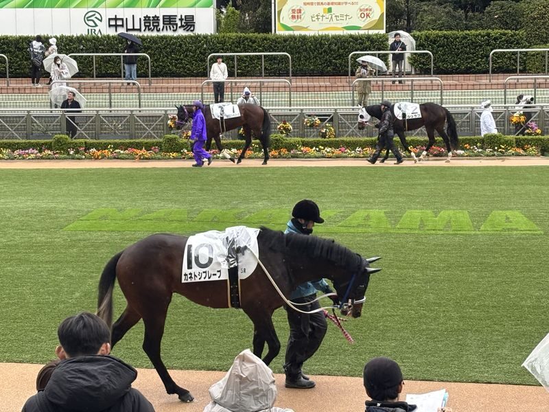 Tokyo Horse Racing Experience with Local Fan - What the 2.5-hour schedule gives you