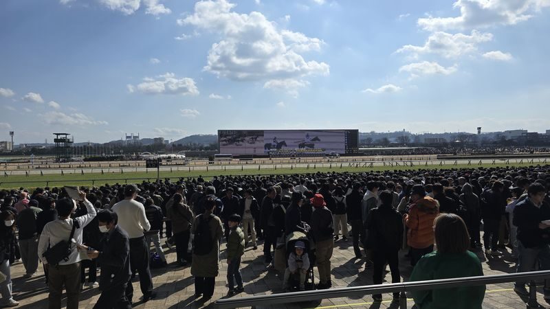 Tokyo Horse Racing Experience with Local Fan - Is $66.35 good value?