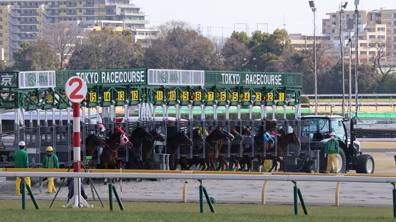 Tokyo Horse Racing Experience with Local Fan - Who will enjoy this Tokyo night out