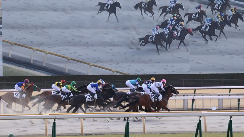 Tokyo Horse Racing Experience with Local Fan - Should you book the Oi night tour?