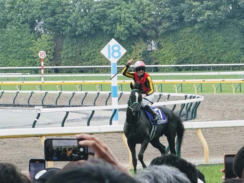 Tokyo: Horse Racing Experience with Local Fan - Introduction
