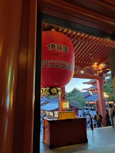 Tokyo Imaginary Experience - Unexpected Moments