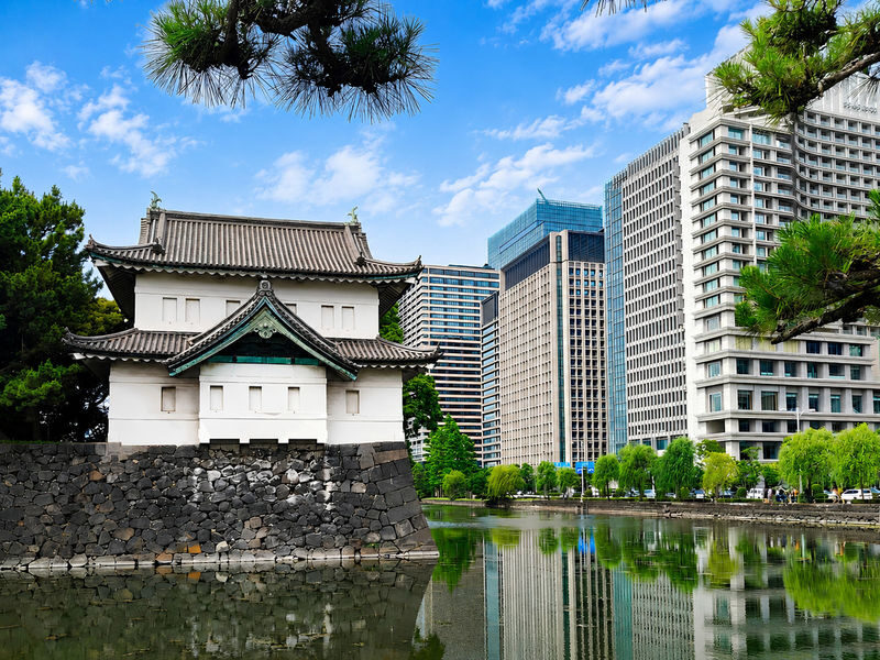 Tokyo Imperial Palace and Edo castle Historical Guided Walking Tour - Reading Edo Castle in the East Gardens