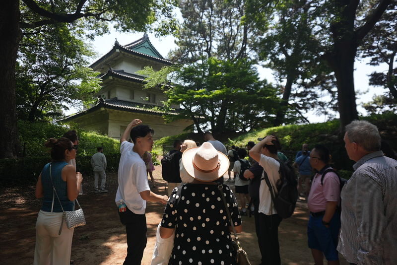 Tokyo Imperial Palace and Edo castle Historical Guided Walking Tour - Who Should Book This Walk