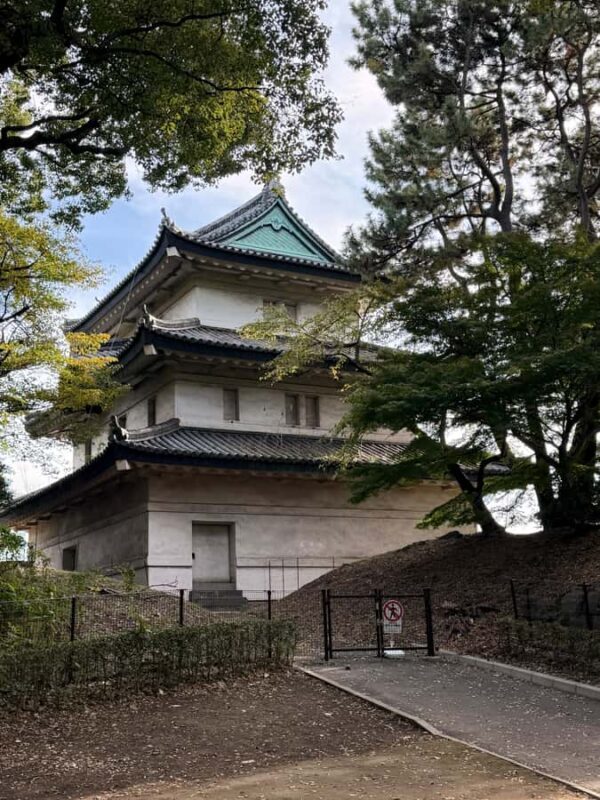 Tokyo: Imperial Palace and Ishibashi bridge walking tour - What Makes This Tour Special