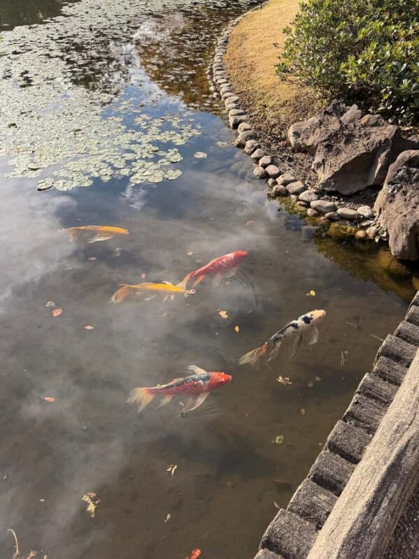 Tokyo: Imperial Palace and Ishibashi bridge walking tour - Who Is This Tour For?