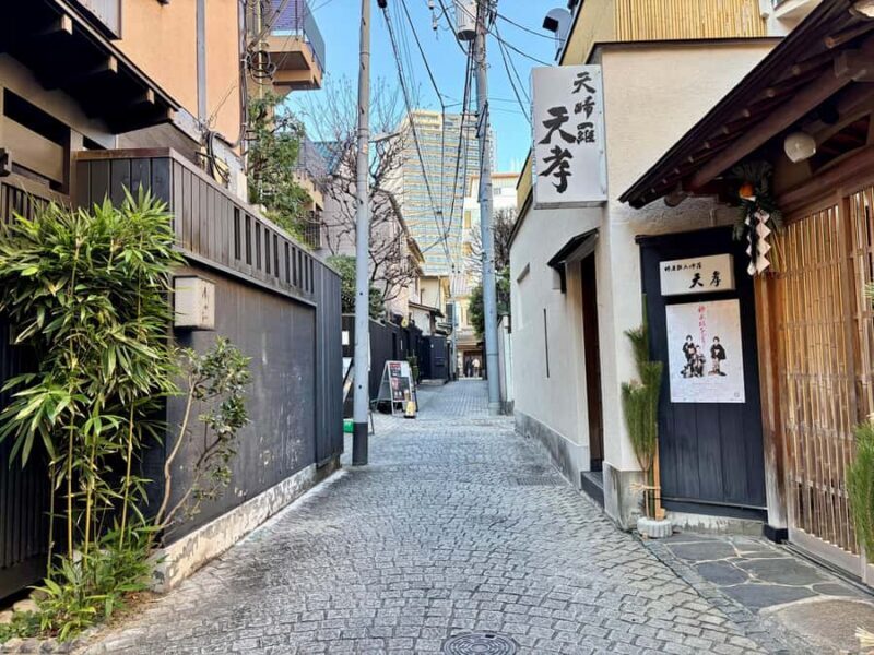 Tokyo: Imperial Palace and Kagurazaka Hidden History Tour - Who Should Consider This Tour?