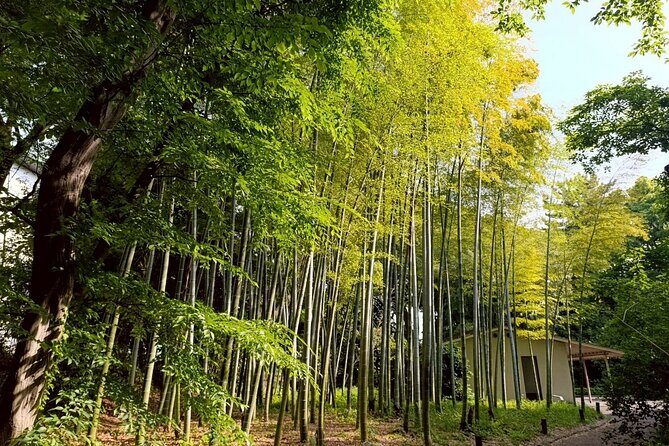 Tokyo: Imperial Palace and Shogun Historical Walking Tour - Good To Know