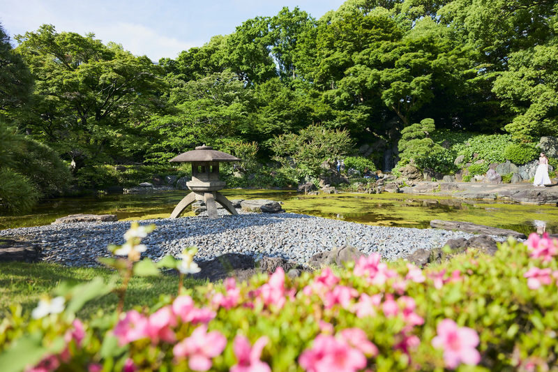 Tokyo Imperial Palace East Garden Half-Day Private Tour - Who should book this tour