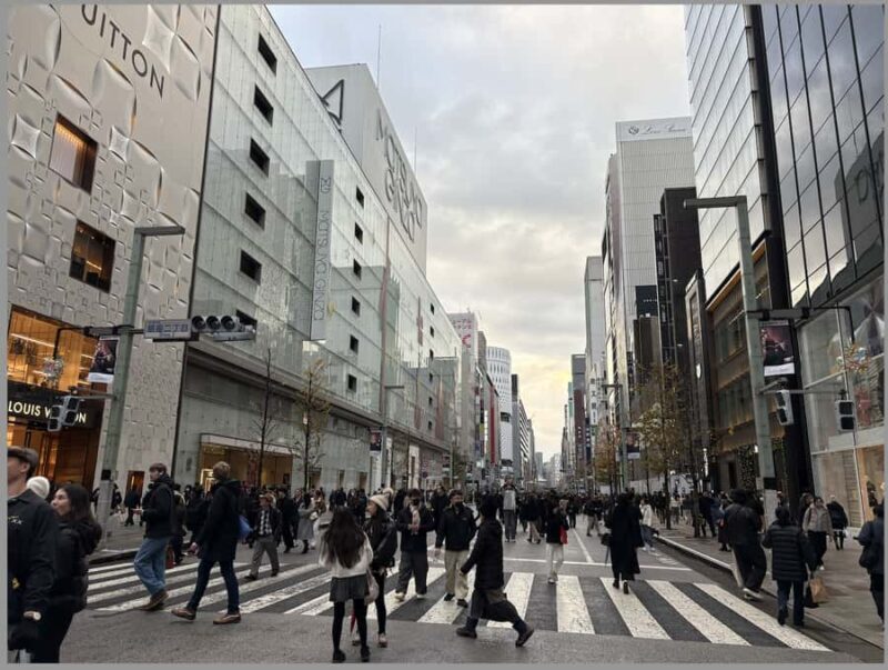 Tokyo: Imperial Palace, Edo Castle Ruins & Samurai Secrets - A Close Look at the Tour Experience