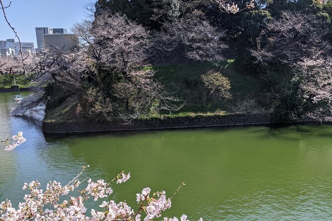 Tokyo Imperial Palace Higashi Gyoen Wellness Tour - Meeting and End Points