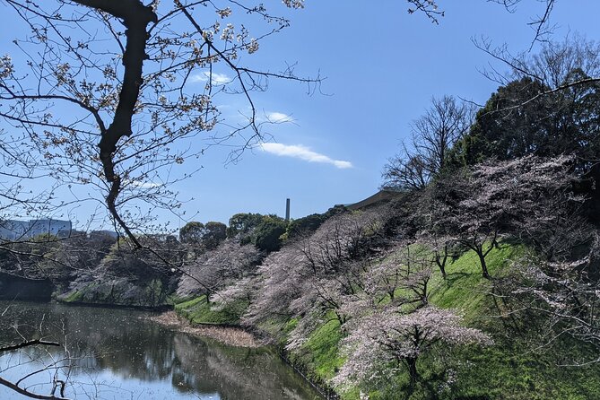 Tokyo Imperial Palace Higashi Gyoen Wellness Tour - Schedule and Accessibility
