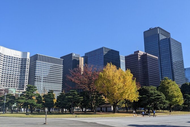 Tokyo Imperial Palace Higashi Gyoen Wellness Tour - Directions and Reservations