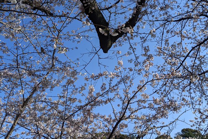 Tokyo Imperial Palace Higashi Gyoen Wellness Tour - Frequently Asked Questions