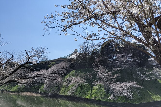Tokyo Imperial Palace Higashi Gyoen Wellness Tour With Lunch - Tour Restrictions and Accessibility