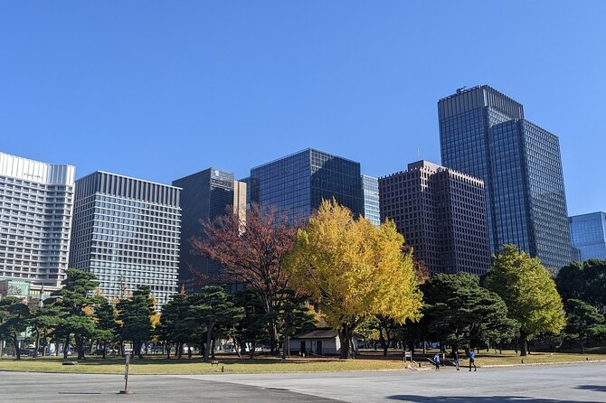 Tokyo Imperial Palace Higashi Gyoen Wellness Tour With Lunch - Cancellation Policy Details