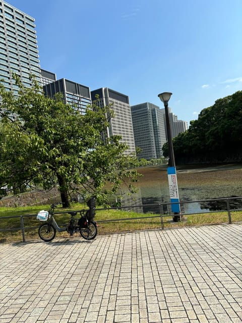 Tokyo : Imperial Palace Night Running Tour - Meeting Information