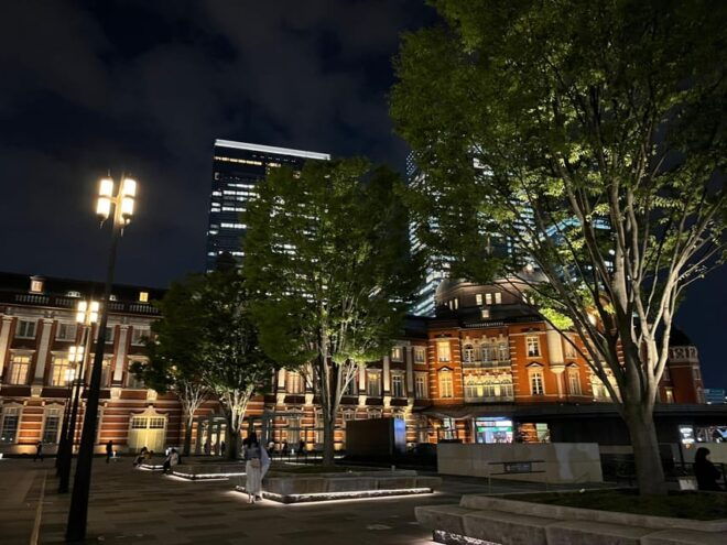 Tokyo : Imperial Palace Night Running Tour - What to Expect