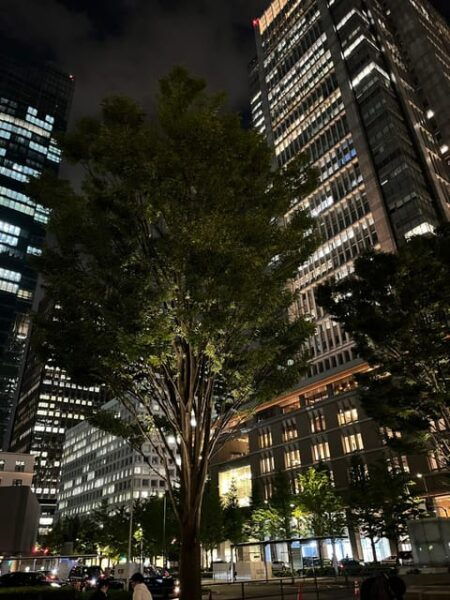 Tokyo : Imperial Palace Night Running Tour - Frequently Asked Questions