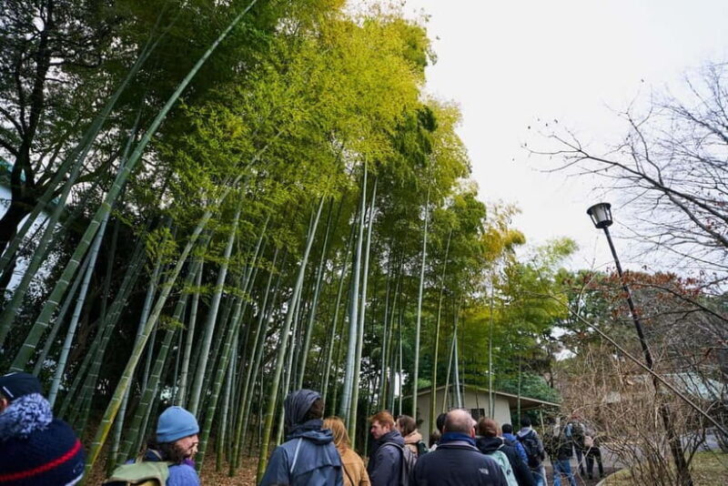 Tokyo: Imperial Palace & Tokyo Castle History Walking Tour - The Sum Up