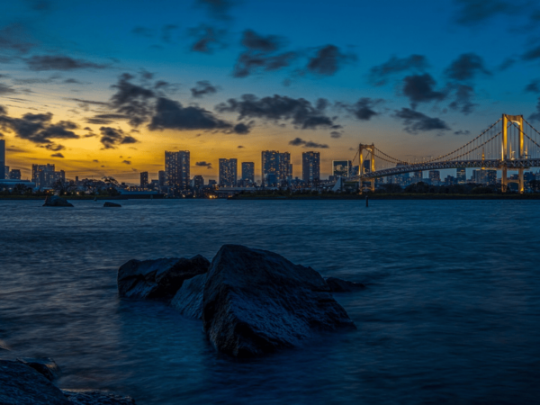Tokyo in a Day a Self-Guided Audio Walk in English - Transportation and Logistics