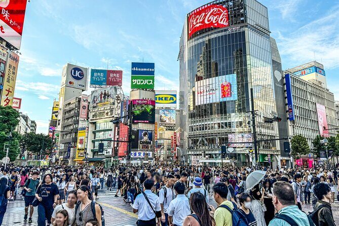 Tokyo in a Day Walking and Metro Tour with Licensed Guide - The Itinerary in Detail
