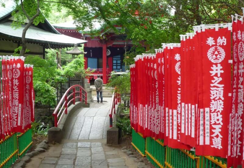 Tokyo: Inokashira Park and Zoo Guided Walking Tour - Good To Know