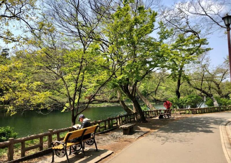 Tokyo: Inokashira Park and Zoo Guided Walking Tour - Discovering Inokashira Park: Tokyo’s Quiet Corner
