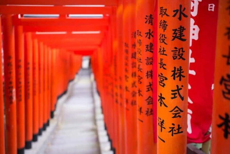 Tokyo: Instagram Highlights Tour with Licensed Guide - An Honest Breakdown of the Tour Experience