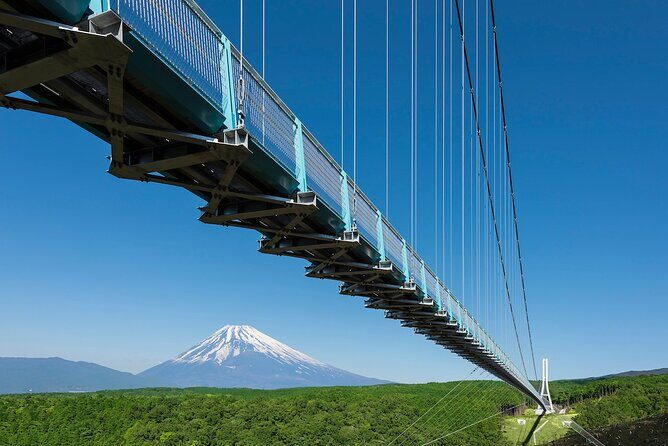 Tokyo: Izu Cherry Blossoms, Mishima Skywalk & Strawberry Picking - What Past Participants Say