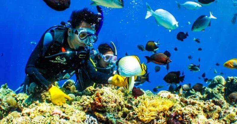 Tokyo: Izu Peninsula Fun Diving and Sightseeing Tour - Photography and Memorable Moments