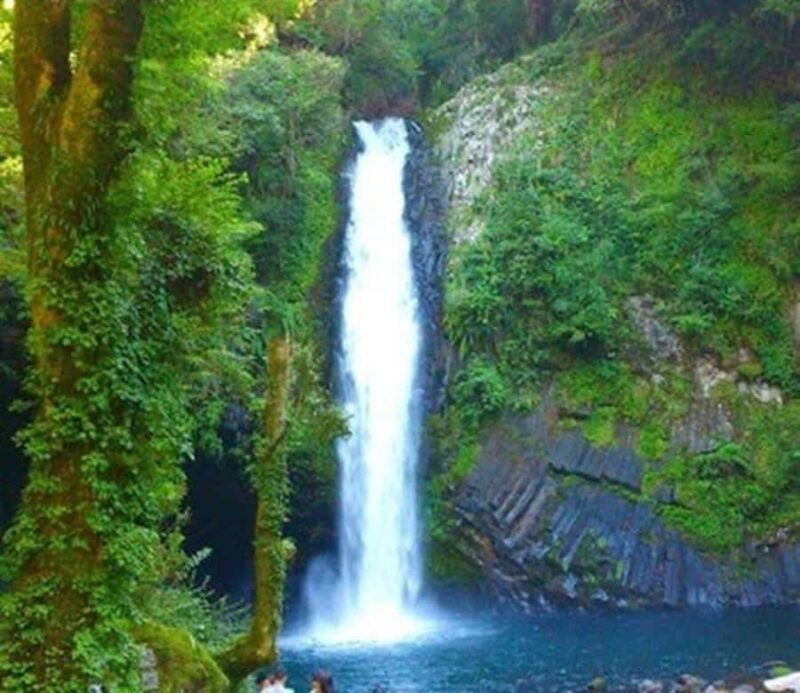 Tokyo: Izu Peninsula Fun Diving and Sightseeing Tour - Practical Aspects and Logistics