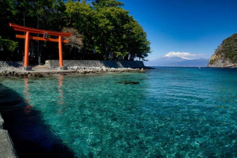 Tokyo: Izu Peninsula Fun Diving and Sightseeing Tour - Diving in Izu: What’s It Like?