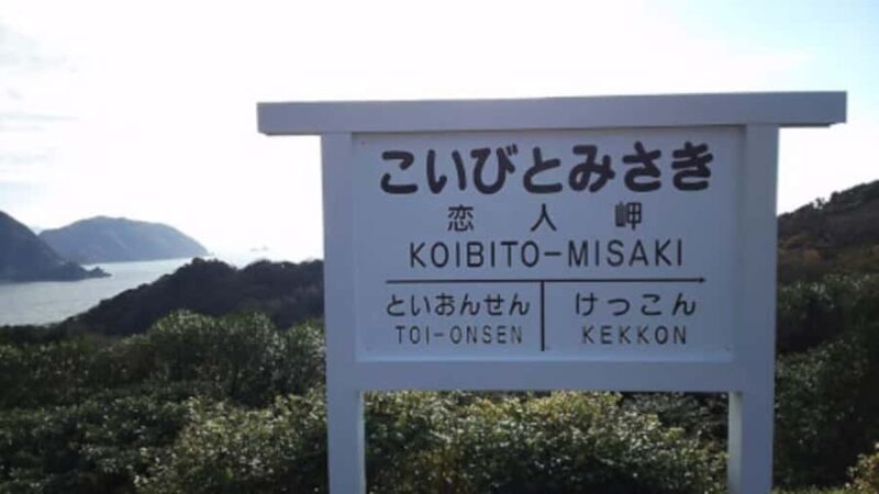 Tokyo: Izu Peninsula Fun Diving and Sightseeing Tour - FAQ