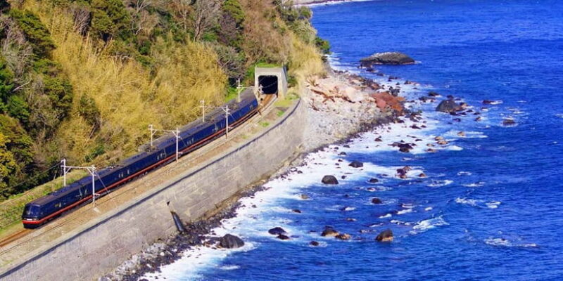 Tokyo: Izu Scenic Oceanview Train, Volcano, Coast Day Trip - Who Will Love This Tour?