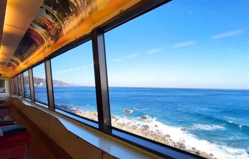 Tokyo: Izu Scenic Oceanview Train, Volcano, Coast Day Trip - A Detailed Look at the Itinerary & Experience