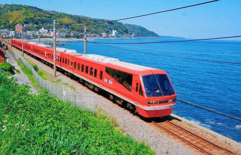 Tokyo: Izu Scenic Oceanview Train, Volcano, Coast Day Trip - What’s Included & What to Keep in Mind