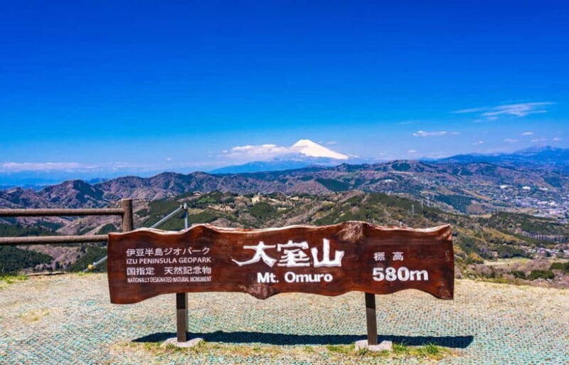 Tokyo: Izu Scenic Oceanview Train, Volcano, Coast Day Trip - Who Should Consider This Tour?