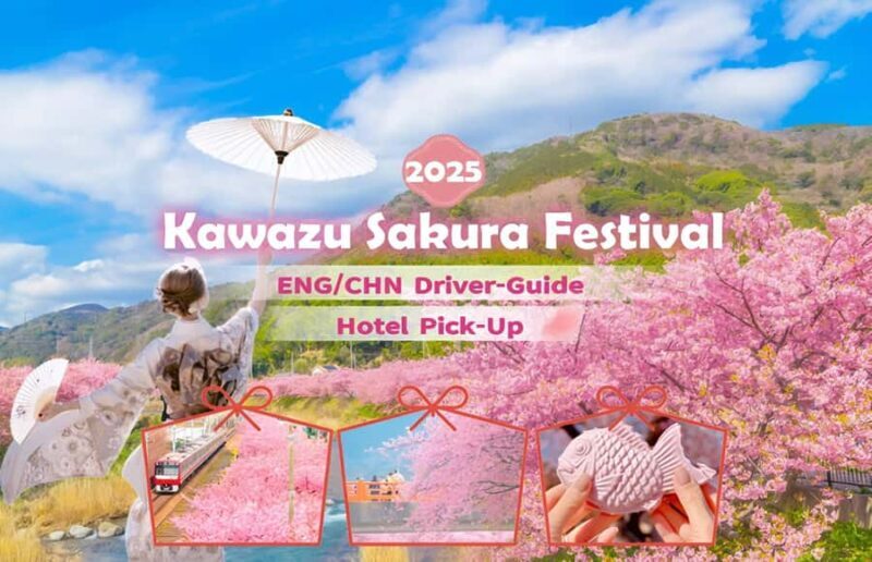 Tokyo: Izu Scenic Train, Kawazu Cherry Blossom & HotelPickup - Why This Tour Offers Great Value