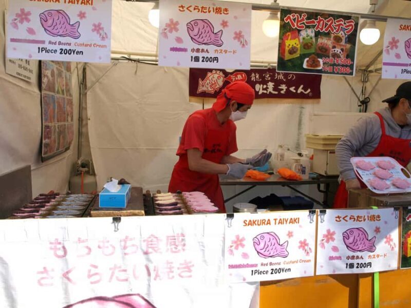 Tokyo: Izu Scenic Train, Kawazu Cherry Blossom & HotelPickup - Who Should Consider This Tour?