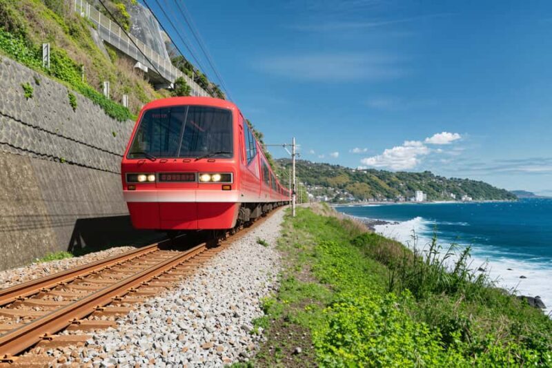Tokyo: Izu Scenic Train, Kawazu Cherry Blossom & HotelPickup - FAQs