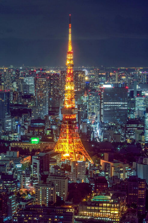 Tokyo Japan 1 Day Private Tour With English Driver - Experience and Attractions