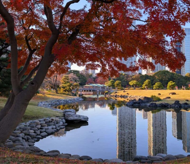 Tokyo: Japanese Garden Tour, Panoramic Train, and Odaiba Bay - Discover Tokyo’s Contrasts: Japanese Garden, Panoramic Train, and Odaiba Bay