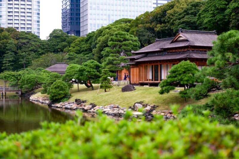 Tokyo: Japanese Garden Tour, Panoramic Train, and Odaiba Bay - Practical Details and Tips