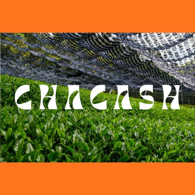 Tokyo: Japanese Green Tea Tasting Experience - FAQ