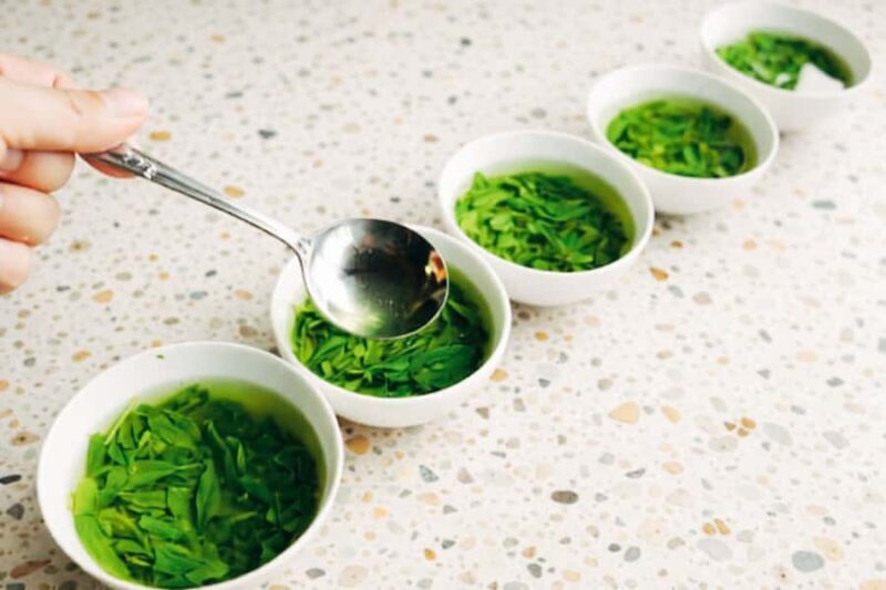 Tokyo: Japanese Green Tea Tasting Experience - Good To Know