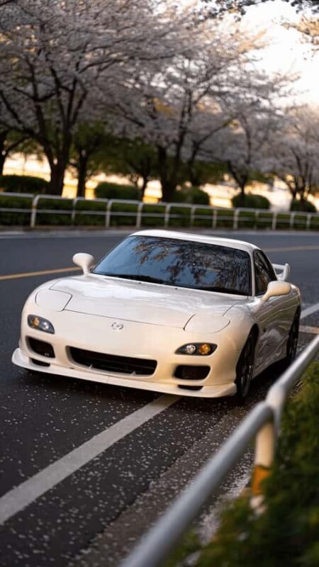 Tokyo: JDM Adventure - Daikoku PA, Tokyo Tower & More - Detailed Tour Breakdown