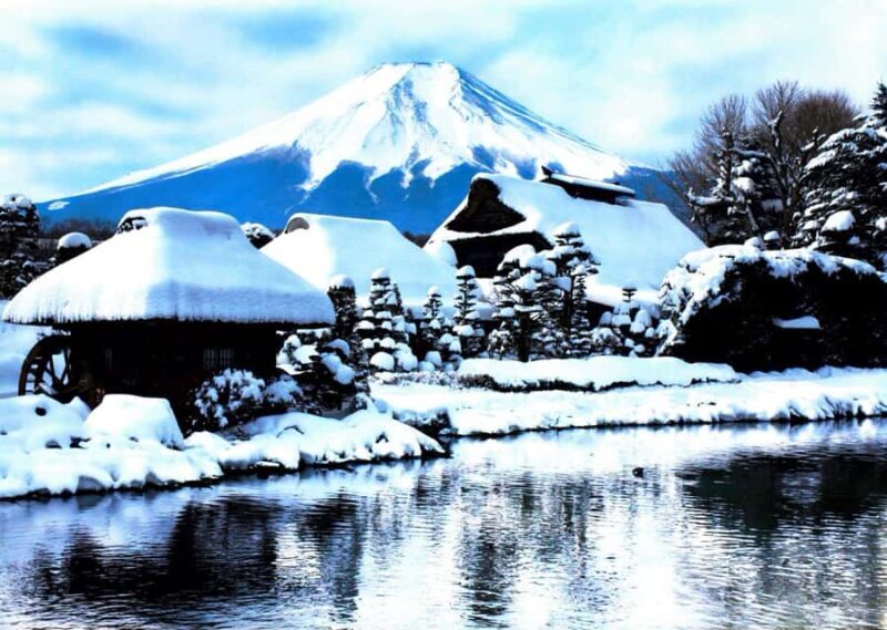 Tokyo: Jigokudani Snow Monkey Park Private Customized Tour - Final Thoughts