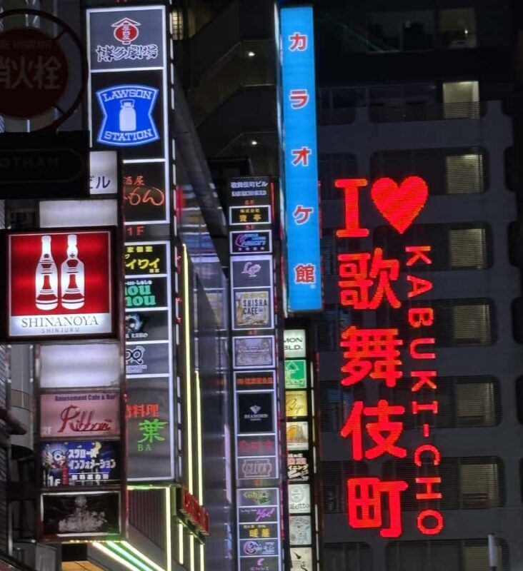 Tokyo: Kabukicho Neon Lights Guided Walking Tour - Practical Details: Pricing, Group Size, and Accessibility