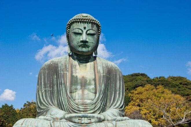 Tokyo Kamakura Day Trip - Inclusions and Accessibility